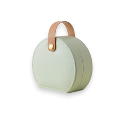 Jewellery Carry Case in Pistachio Green