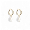 Freshwater Pearl Drop Earring in Gold