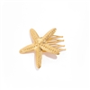 Starfish Hair Comb in Gold