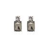 Slate Gem with Crystal Earrings